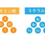 ビタミンミネラル